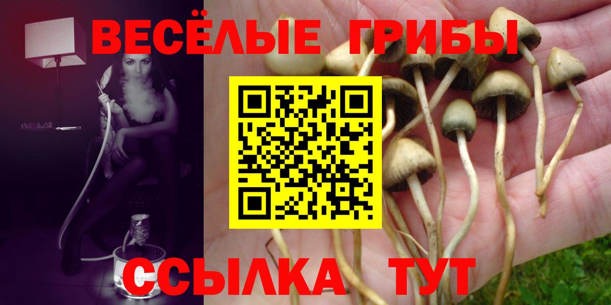 Псилоцибиновые грибы мухоморы  Вход с VPN  Батайск 