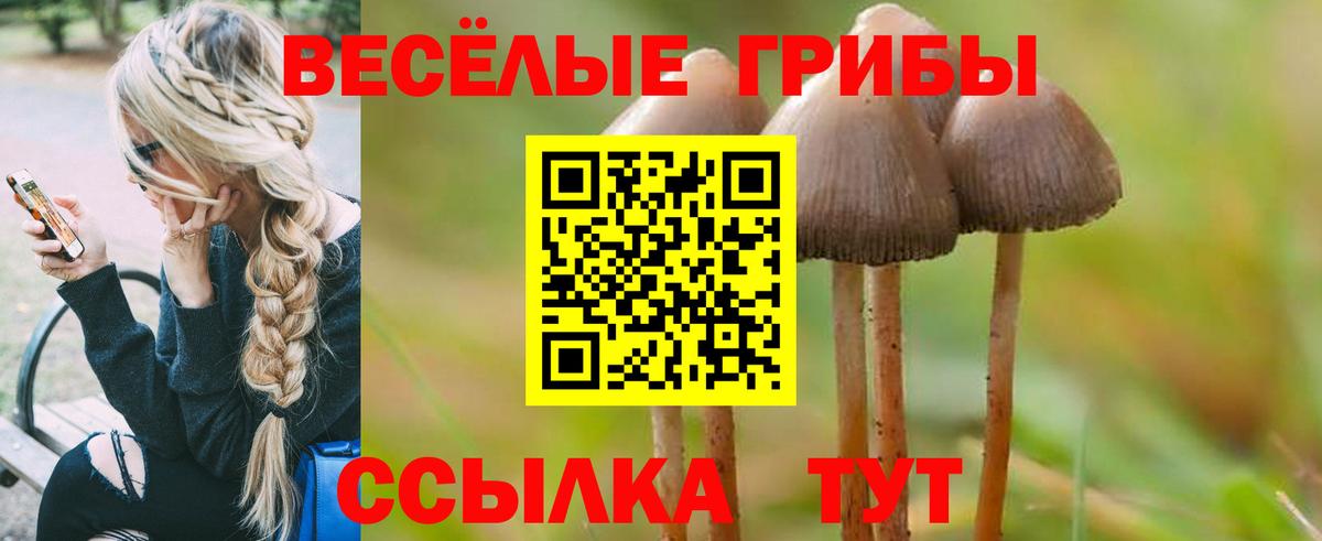 Галлюциногенные грибы прущие грибы Батайск